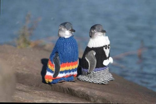 penguin_jumpers
