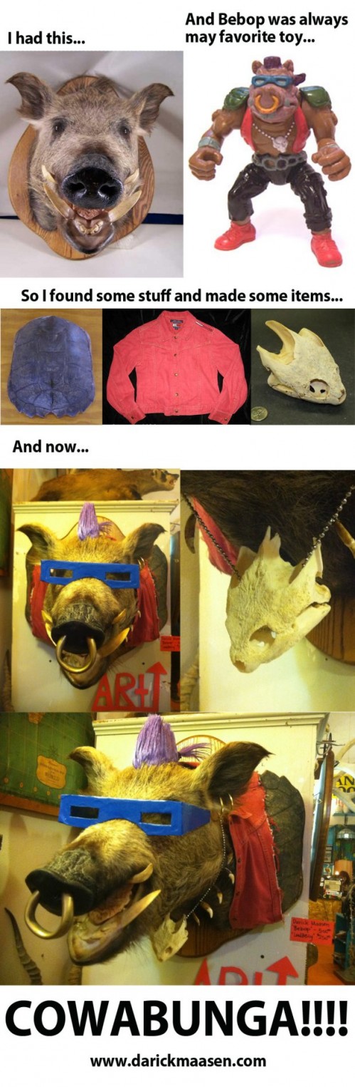 taxidermied-bebop-head