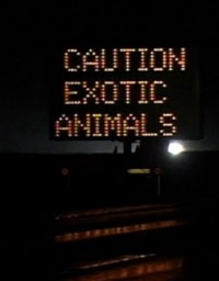 warning