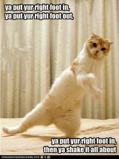 240_hokey-pokey