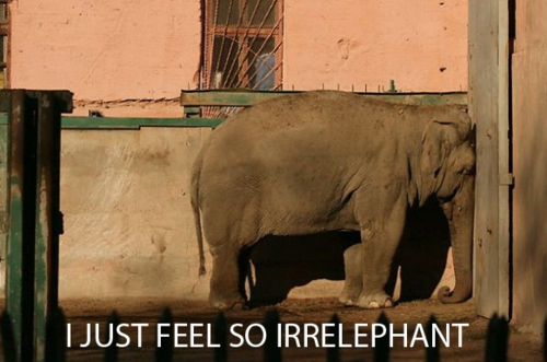Emoliphant_buzzfeed