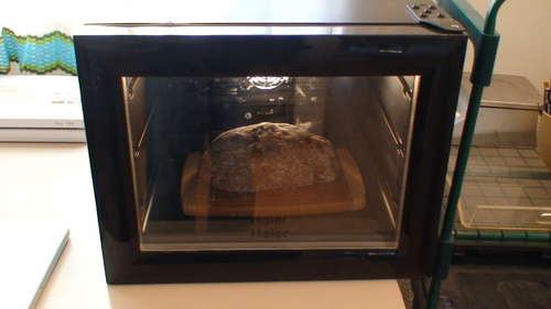 Make-a-Fermentation-Chamber-from-a-Broken-Wine-Fri
