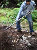 shovel