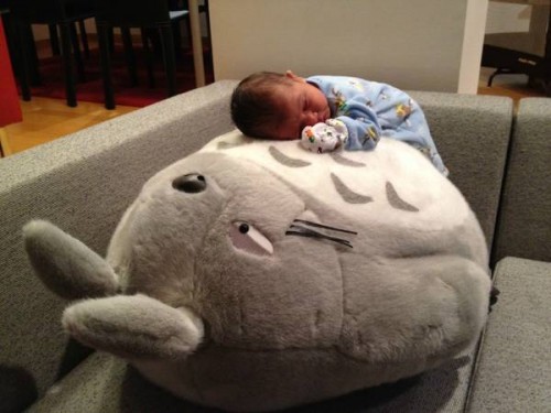 totoro