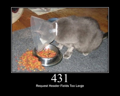 431