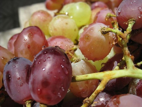 800px-Grapes_Angoor