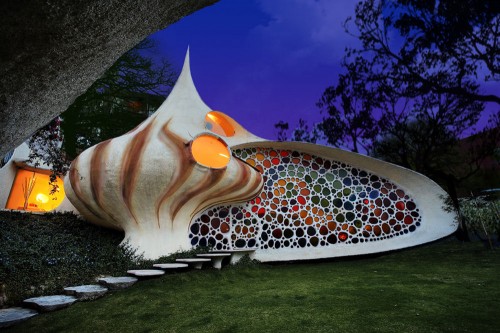 Nautilus1