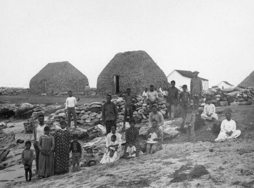 Niihau1885