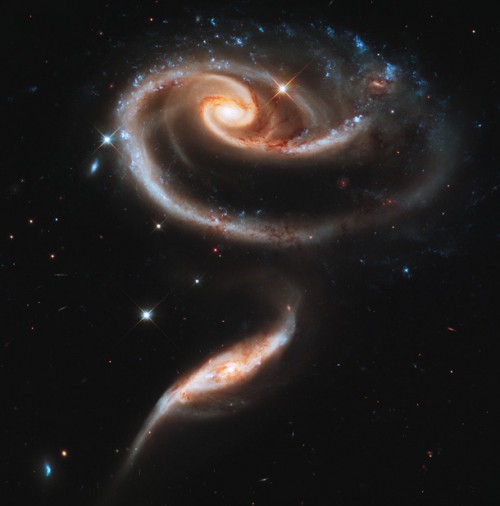 arp273