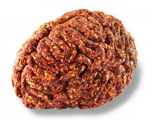 brain