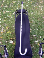 cane