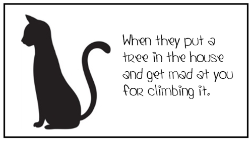 catworldproblems