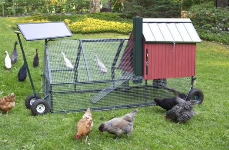 chicken-coops-self-propelled-solar-powered