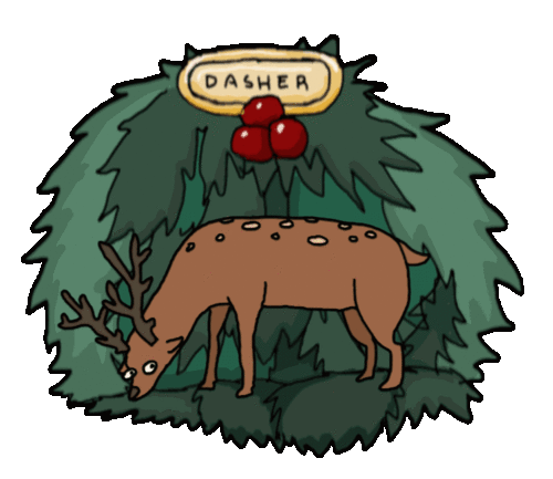 dasher-preview
