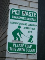 dog poop