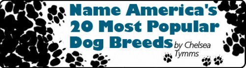 mf_banners_dogbreeds