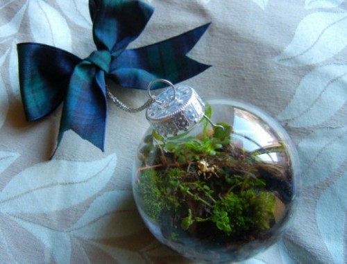 terrarium