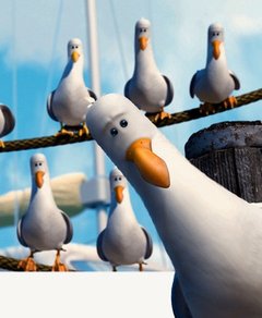 240_gulls