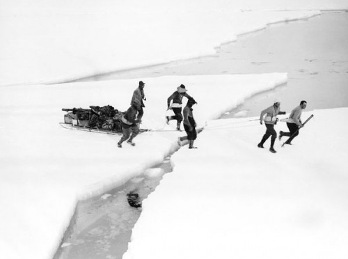 antarctica