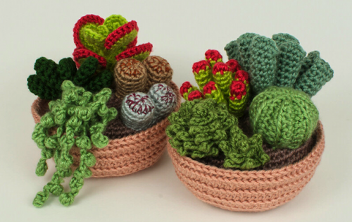 crochet_succulents_from_planet_june