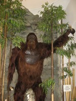 giganto