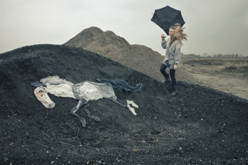 horse