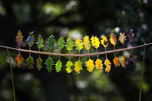 land art