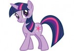 pony