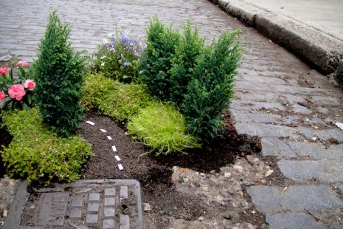pothole