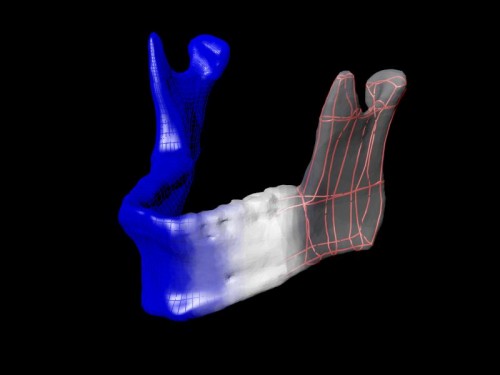 12.02.08-3D-Printing-Breaks-Into-The-Medical-Field