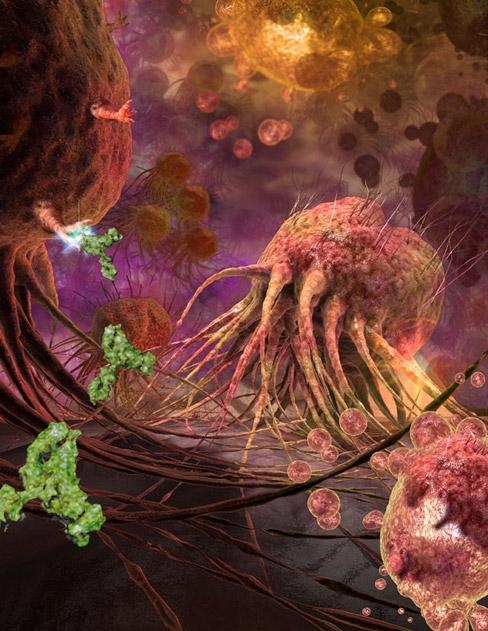 Best-Science-Visualizations-1