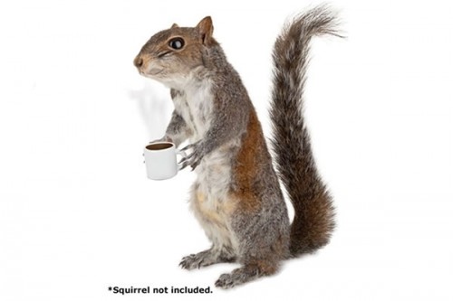 Squirrel-Coffee-Cup_19143-l