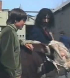 Zappa