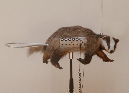 badgermin01