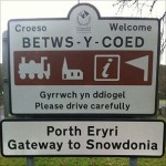 betwsphoto1