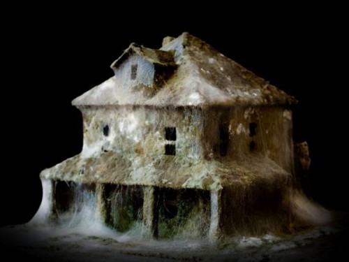 daniele-del-nero-after-affects