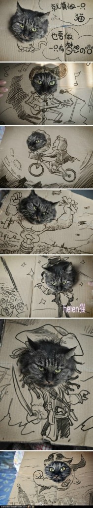 funny-pictures-cardboard-dreams-cat