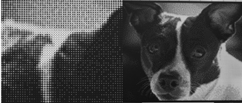 halftone