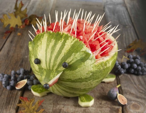 hedgehog