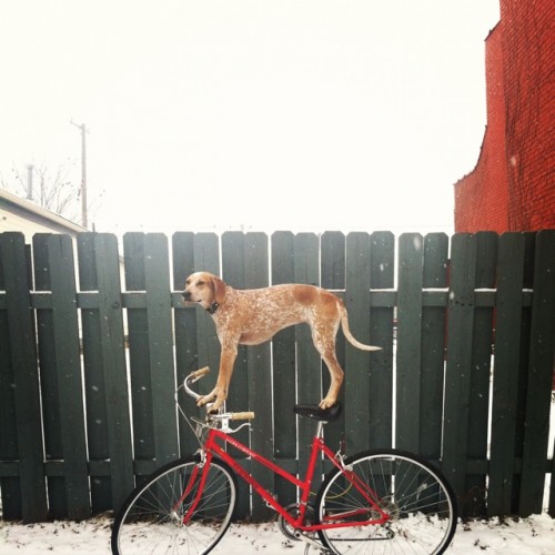 maddie-20120220-105009