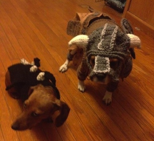 skyrim-dog-3
