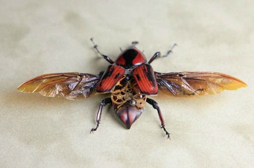 steampunk bug