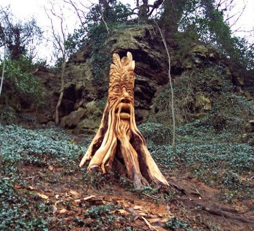 tree