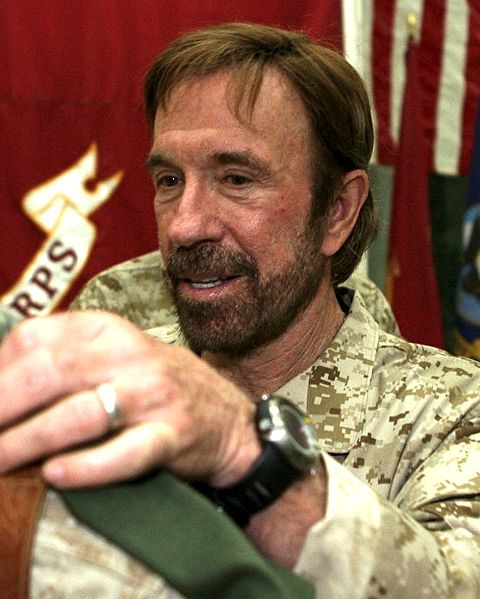 480px-ChuckNorris200611292256