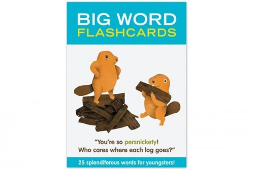 Big-Words-Flashcards_22050-l