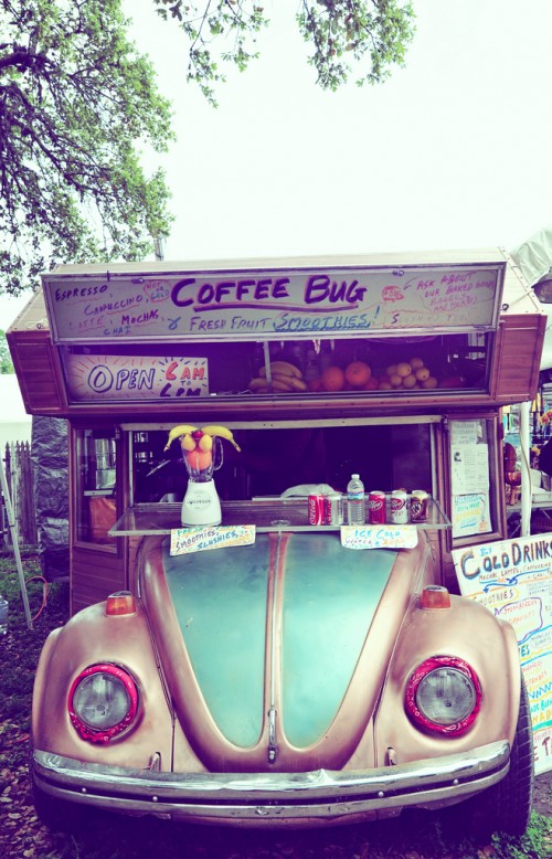 Coffee Bug