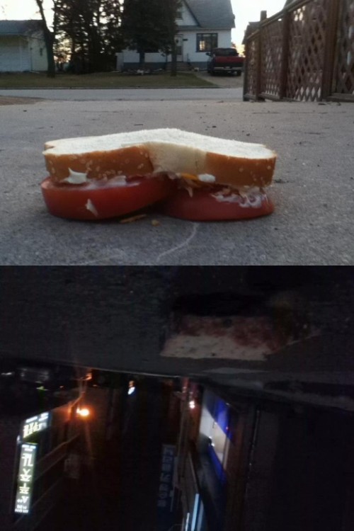 Earth Sandwich
