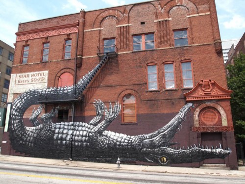 alligator