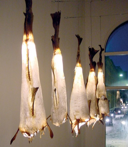 fish