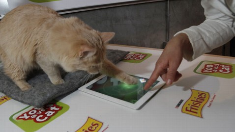 friskies_cat_ipad_game_lt_120312_wblog